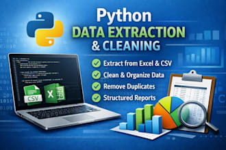 python data extraction and data cleaning