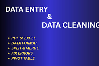 excel data cleaning, merge, split and pivot table expert