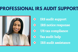 provide irs audit support and tax compliance for US businesses