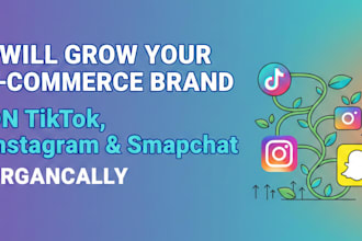 run tiktok ig marketing ad for shopify website, create tiktok, intagram video ad