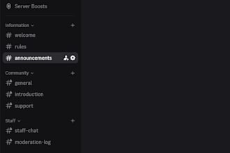 build and automate a professional discord server setup