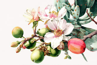 illustrate outstanding botanical illustration