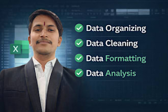 data organize, cleaning, formatting and analysis