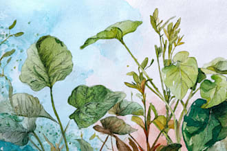 do a watercolor illustration
