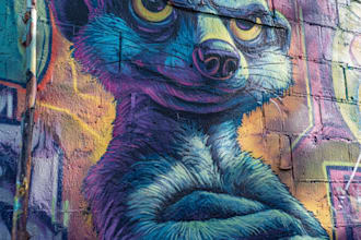 design graffiti designs, murals and wall arts