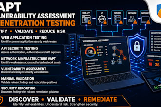 perform professional vulnerability assessment and management