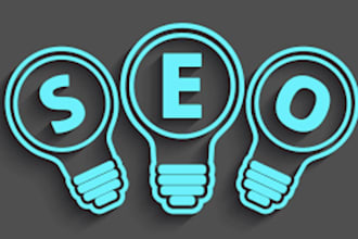 supply a full website audit