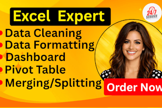 do excel data cleaning, formatting, dashboard, PDF , CSV conversion