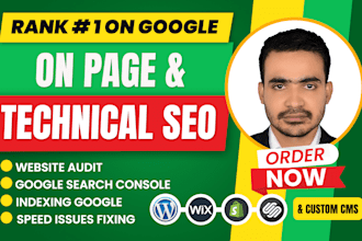 on page and technical SEO, website audit, google search console indexing