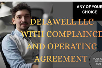 form a delaware llc with compliance and operating agreement