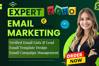 do email marketing campaign and verified email lists and leads