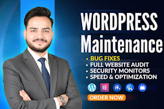 do wordpress maintenance, updates, security, backups and troubleshooting