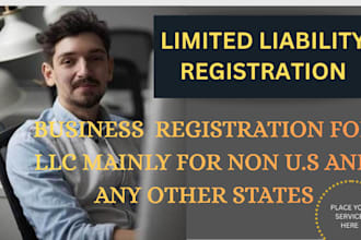 register your USA llc professionally for non US residents