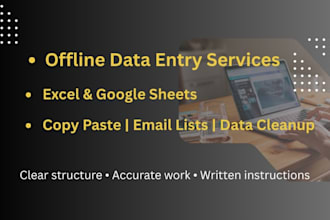 do accurate offline data entry and excel tasks