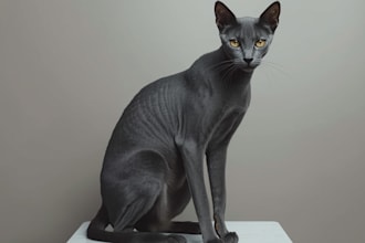create ultra realistic custom digital art in 24h