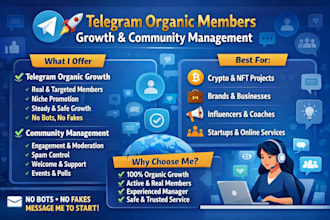 do meme coin promotion community management