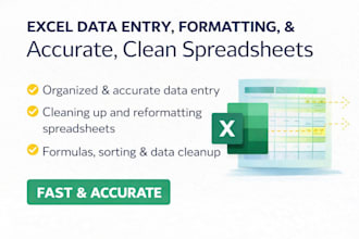 do accurate excel data entry, formatting, and clean up
