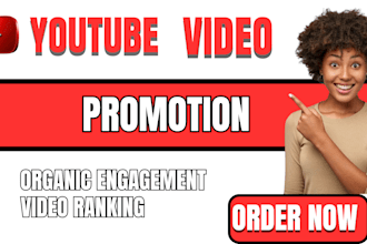 do organic youtube video promotion