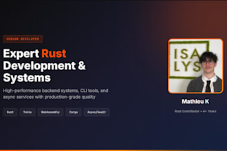 develop high performance rust code and optimize your systems