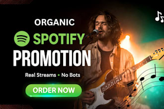 german spotify album music promotion to boost spotify streammers song promotion