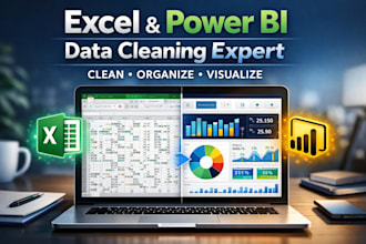 clean messy datasets and create easy to read reports with excel and power bi