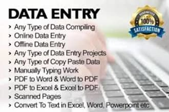 do fast and accurate data entry, copy paste, admin support and web research