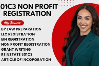 file 501c3 nonprofit registration, form 1023 ez, bylaws, and llc paperwork