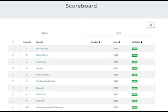 solve and make ctf challenge solutions for you professionally