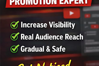 provide youtube video promotion support for better exposure