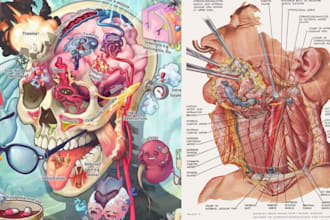 create clear and accurate 2d medical illustrations, biological diagrams