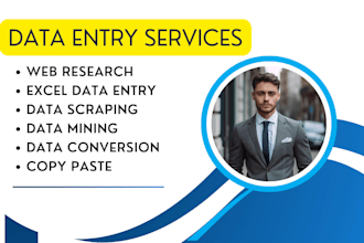 do excel data entry, data entry, PDF to excel data entry
