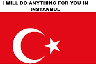 do anything for you in istanbul as a virtual assistant