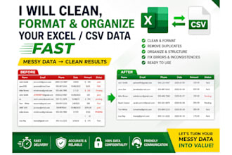 clean, format and organize your excel or CSV data fast