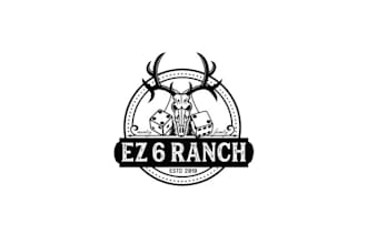 design exceptional dynamic logo for texas ranch with dice