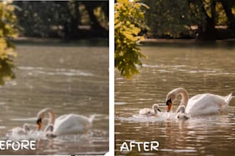 fix blurry low quality photos into professional HD images