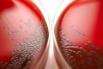 write biology and microbiology educational content