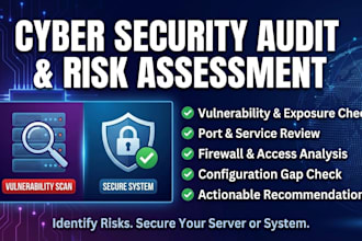 perform cyber security audit and vulnerability assessment