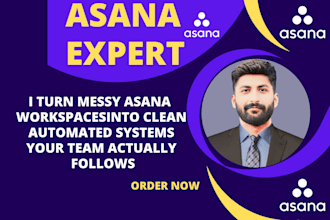 your asana expert, asana consultant, asana specialist,asana setup,asana workflow