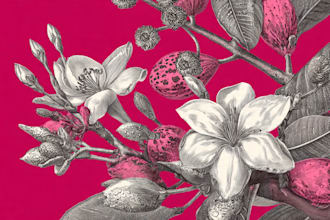 draw botanical illustration art for you