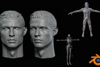 do 3d head model, face model, body model and rigging for game printing, stl