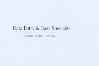 do data entry and excel data organization