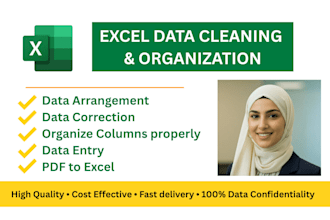do data cleaning, formatting, and organization in excel