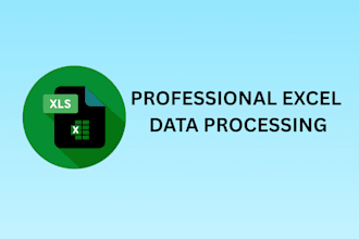 create and format professional excel spreadsheets and process business data