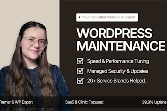 do wordpress maintenance, security, and speed optimization