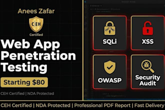 perform web application penetration testing and security audit
