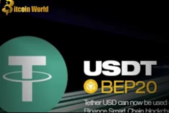 develop crypto invest btc and usdt btc usdt platform