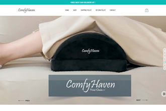 develop a modern shopify store with custom features
