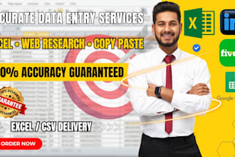 do accurate data entry, excel data entry and web research