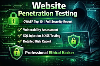 website penetration testing using owasp top 10