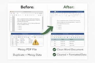 data entry document cleaning